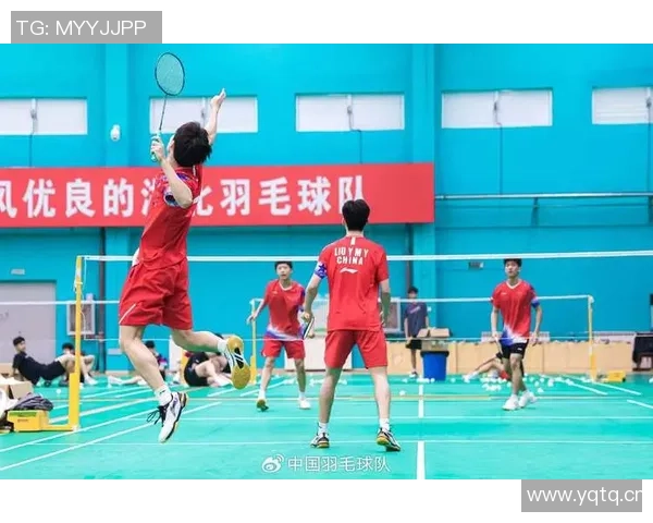 赛后分析：西安羽毛球队与武汉羽毛球队的战术意识与表现对比